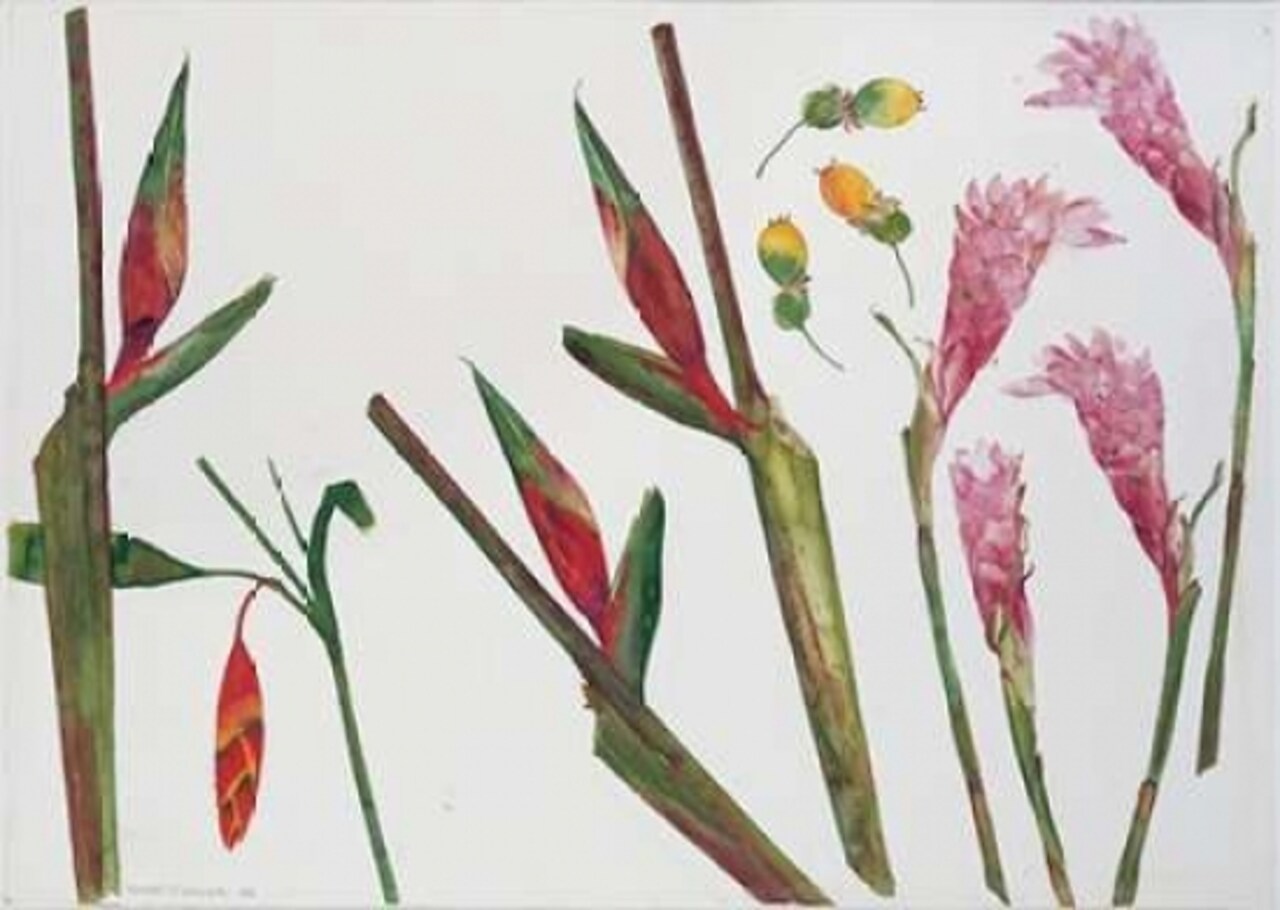 Heliconia, Passion Fruit and Ginger Poster Print by Elizabeth Blackadder - Item # VARPDXEBL01